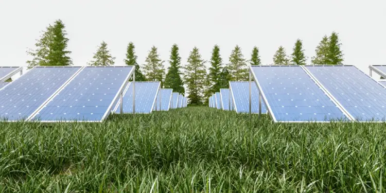 Alquiler-de-terreno-para-placas-solares