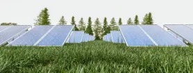 Es rentable alquilar terreno para placas solares: descubre las ventajas