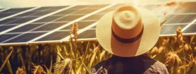La Energía Solar en la Agricultura: Usos y Beneficios